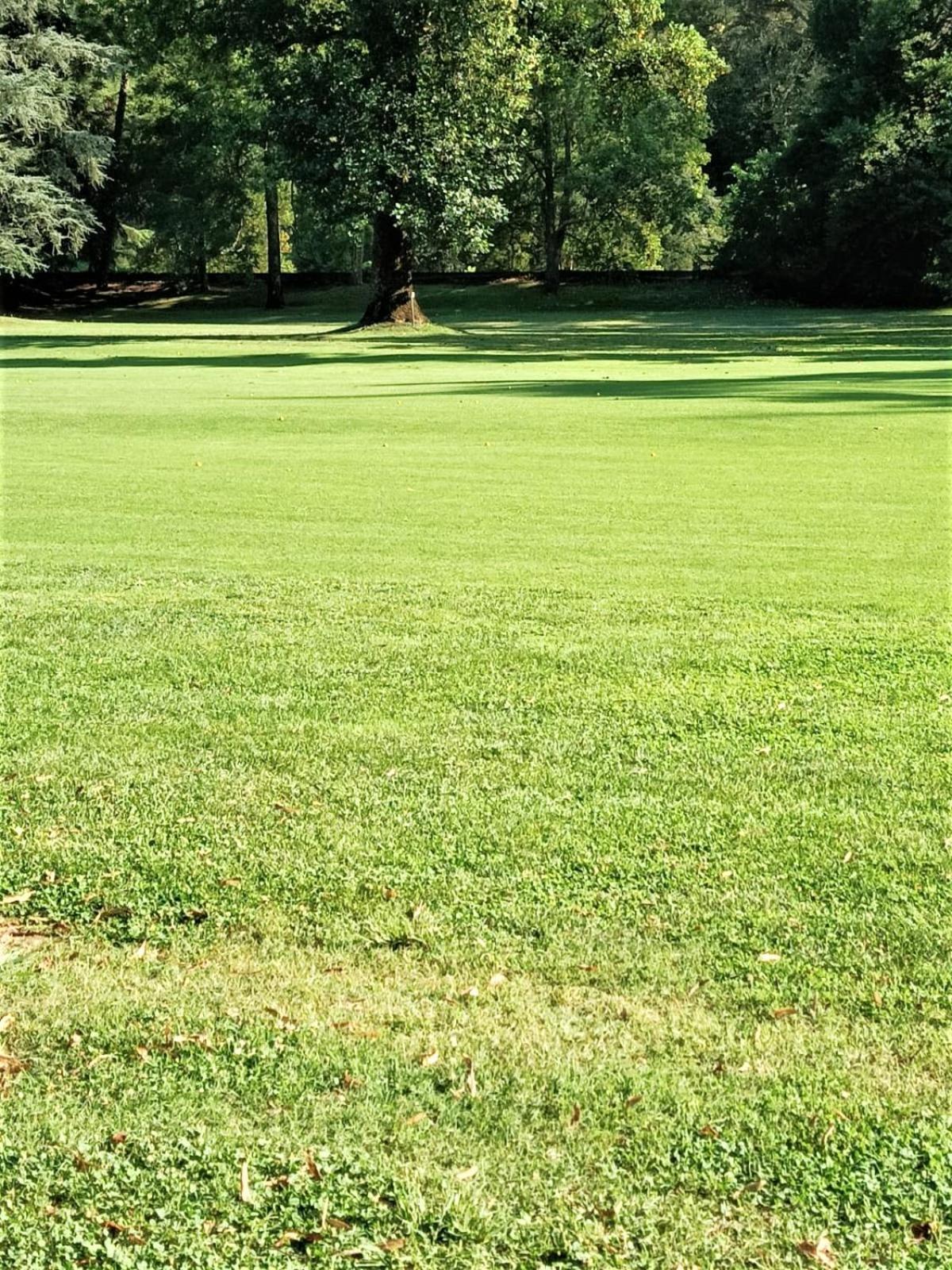 拉帕洛Fronte Del Golf公寓 外观 照片